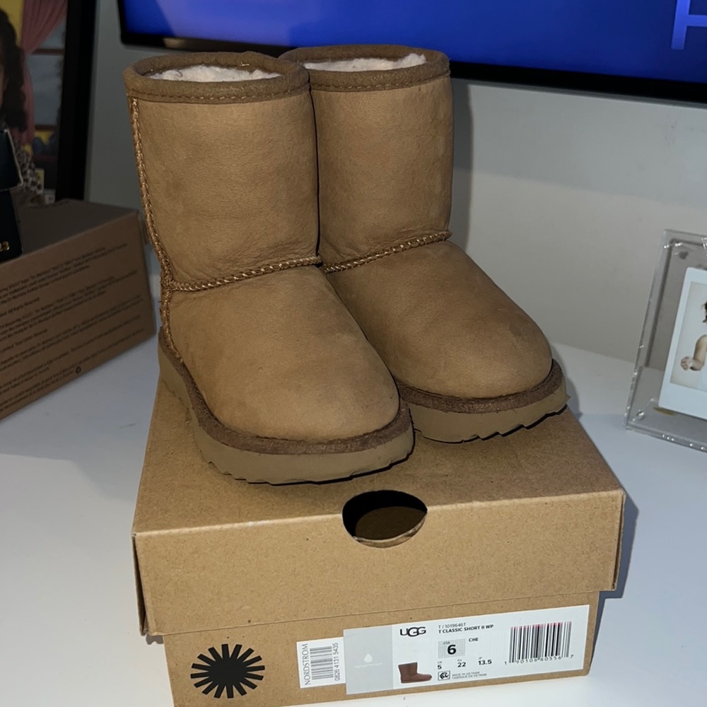 Classic chestnut UGGs